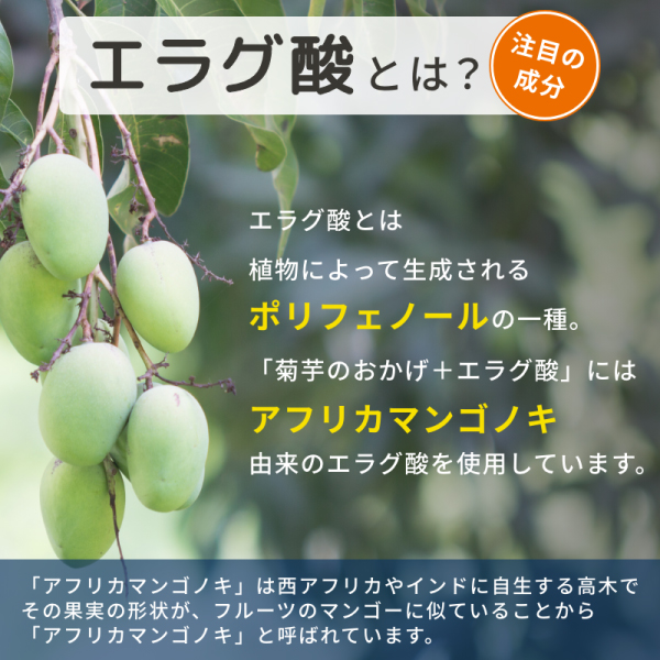 菊芋のおかげ