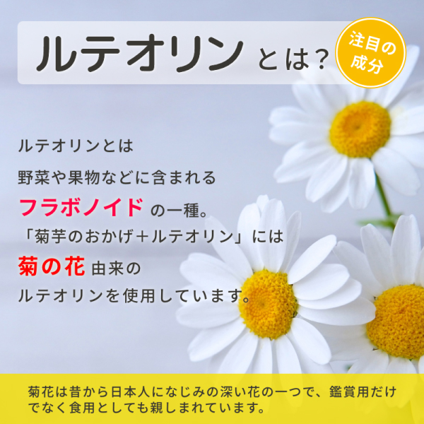 菊芋のおかげ